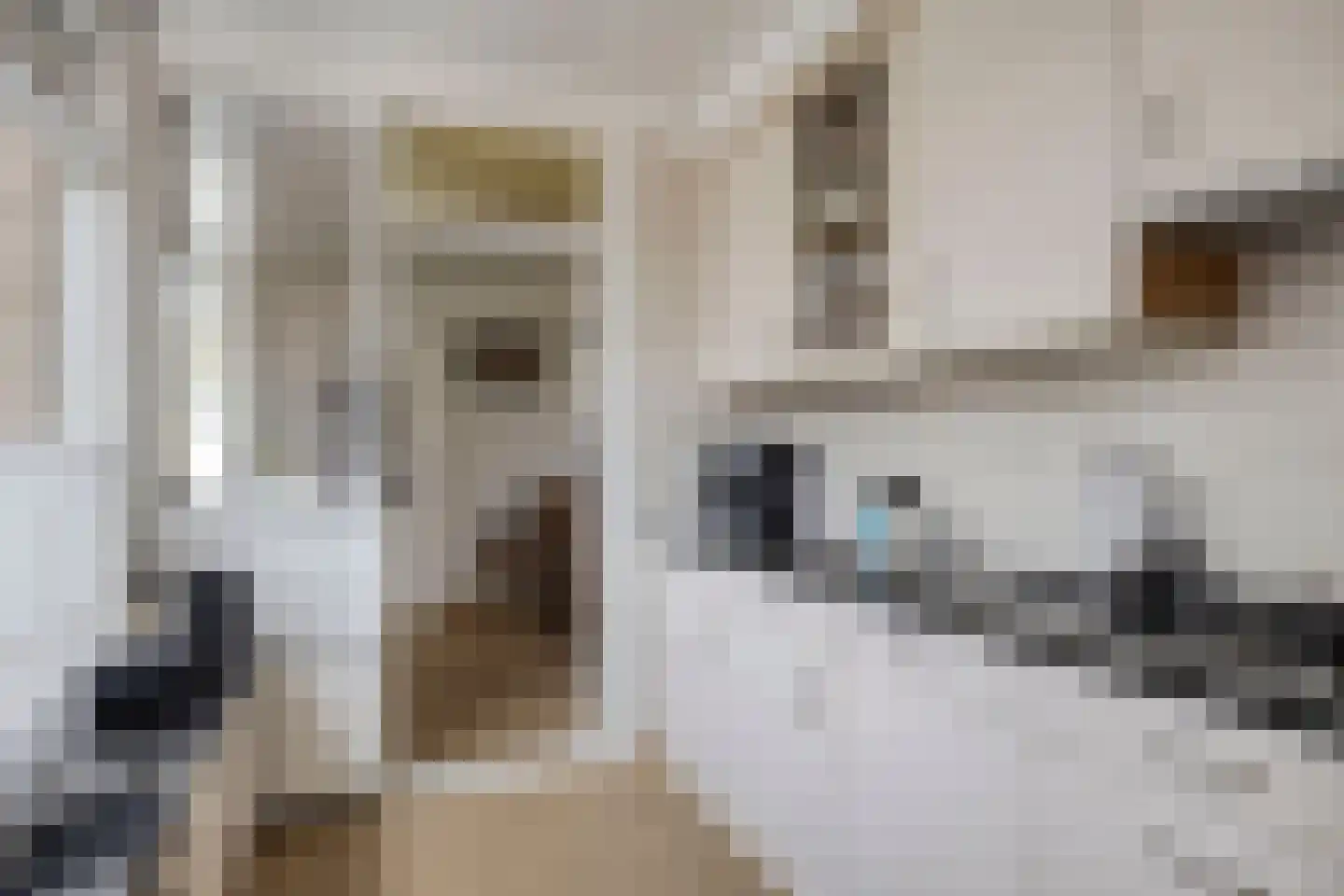 Thomas van Heereveldstraat 26 Weurt thumbnail 9