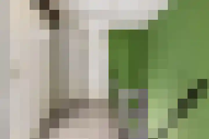 Thomas van Heereveldstraat 37 Weurt thumbnail 14