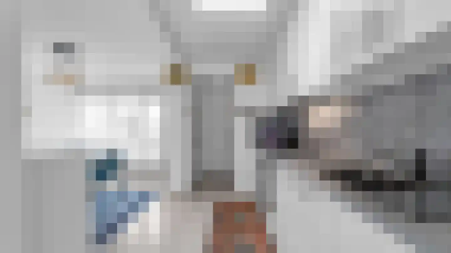 Thomasboslaan 95 Arriën thumbnail 4