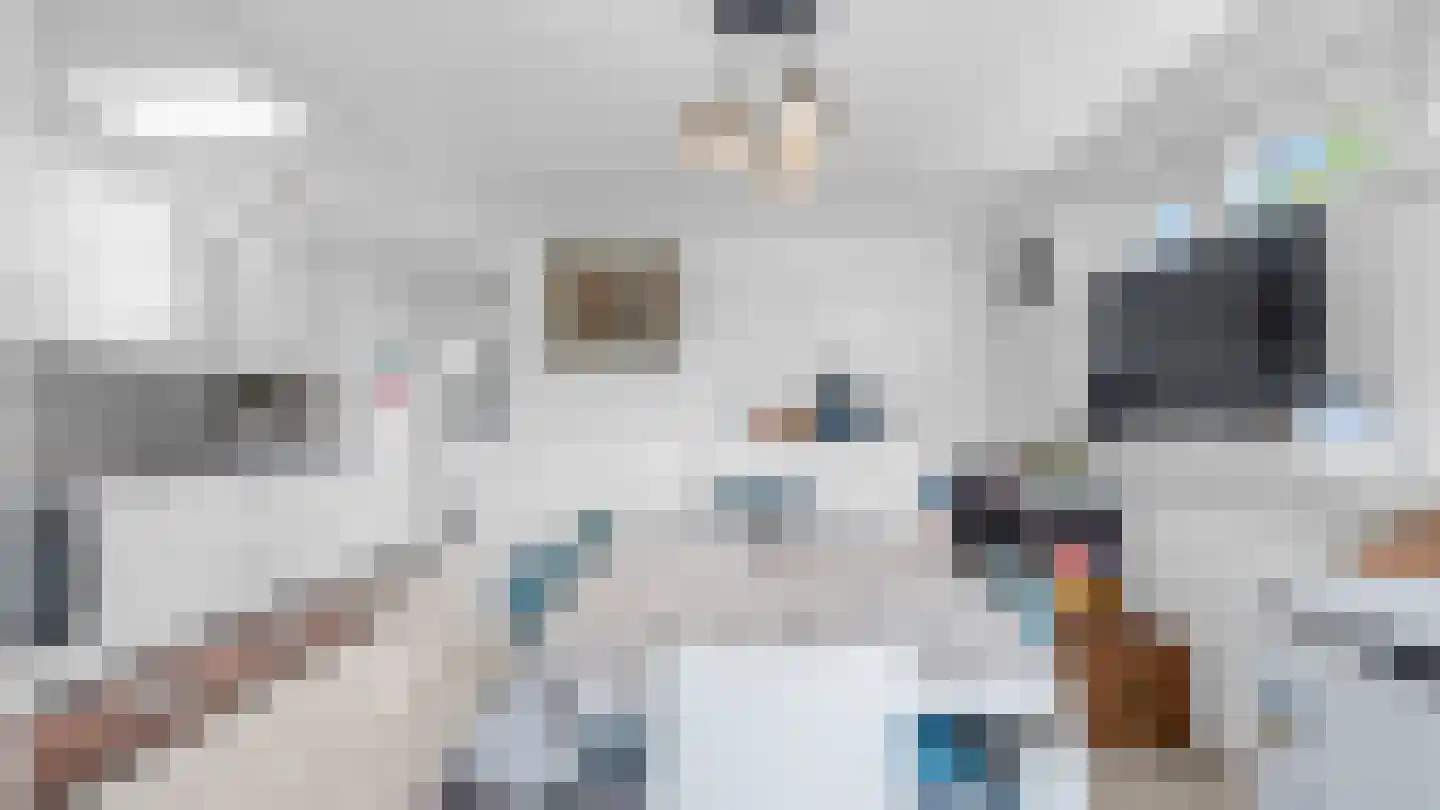 Thomasboslaan 95 Arriën thumbnail 6