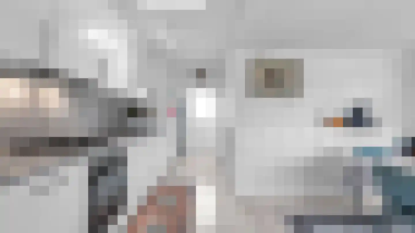 Thomasboslaan 95 Arriën thumbnail 7