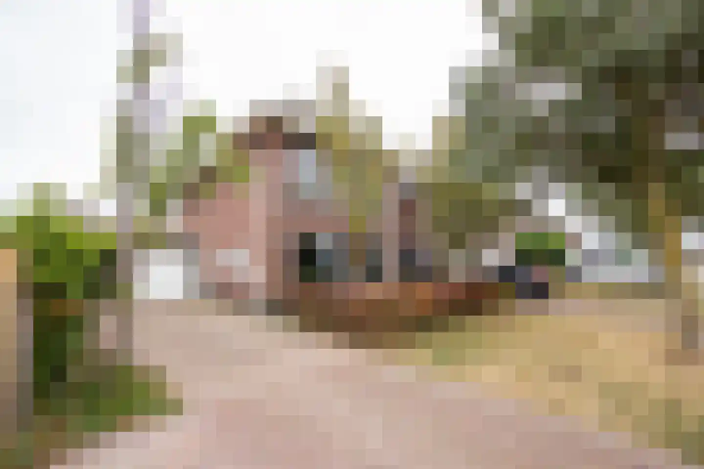 Thomashof 1 Workum