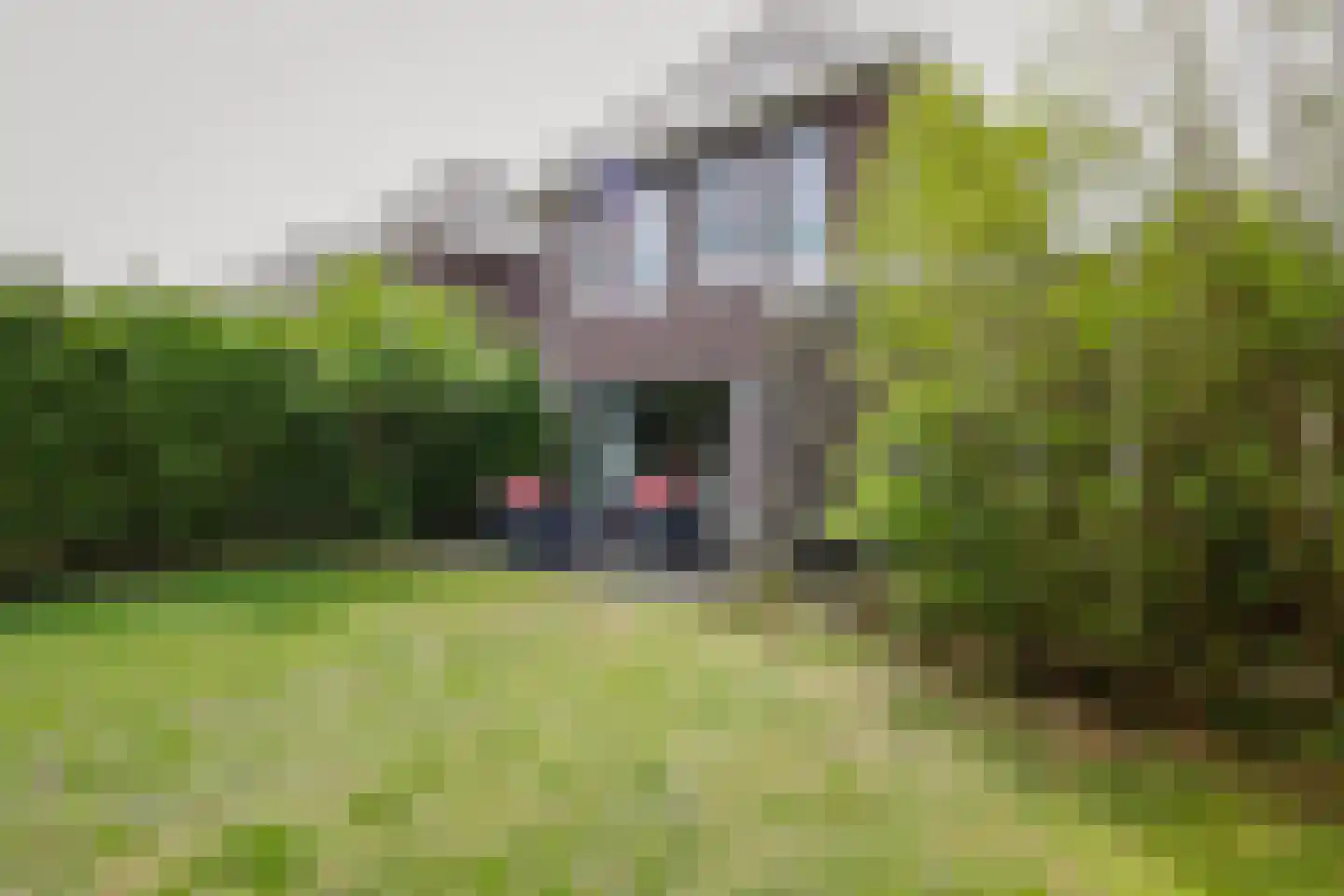 Thomashof 1 Workum thumbnail 12