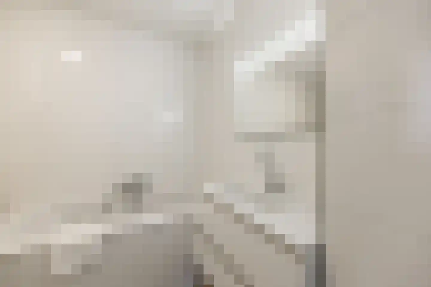 Thomashof 1 Workum thumbnail 19