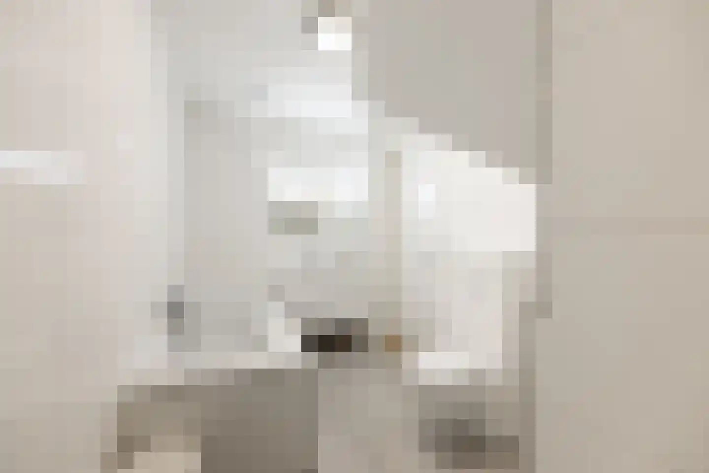 Thomashof 1 Workum thumbnail 21