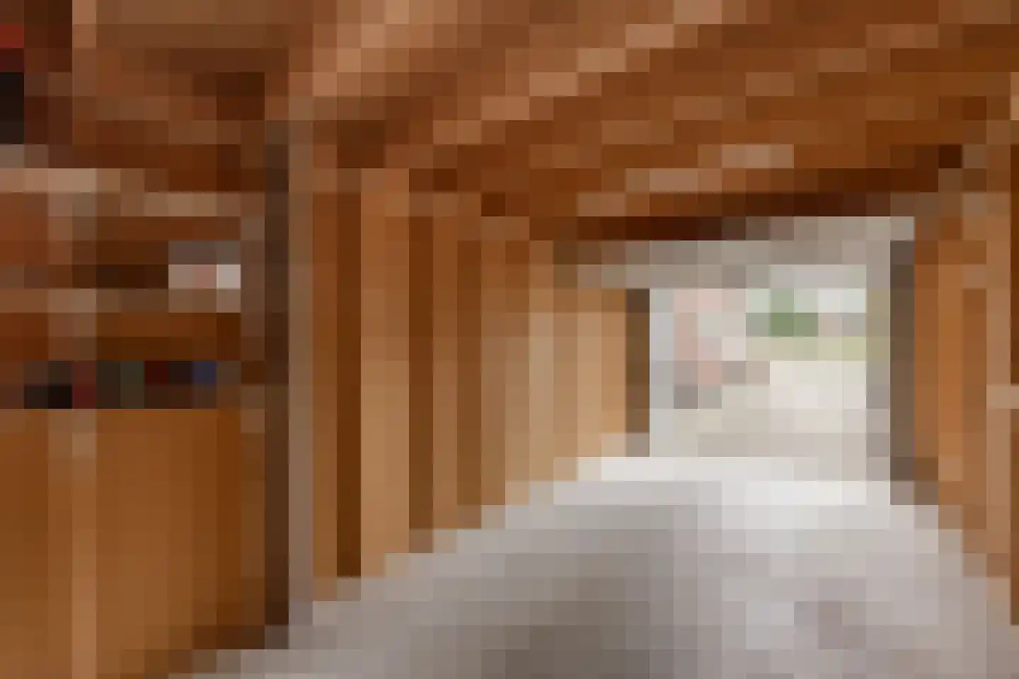 Thomashof 1 Workum thumbnail 25