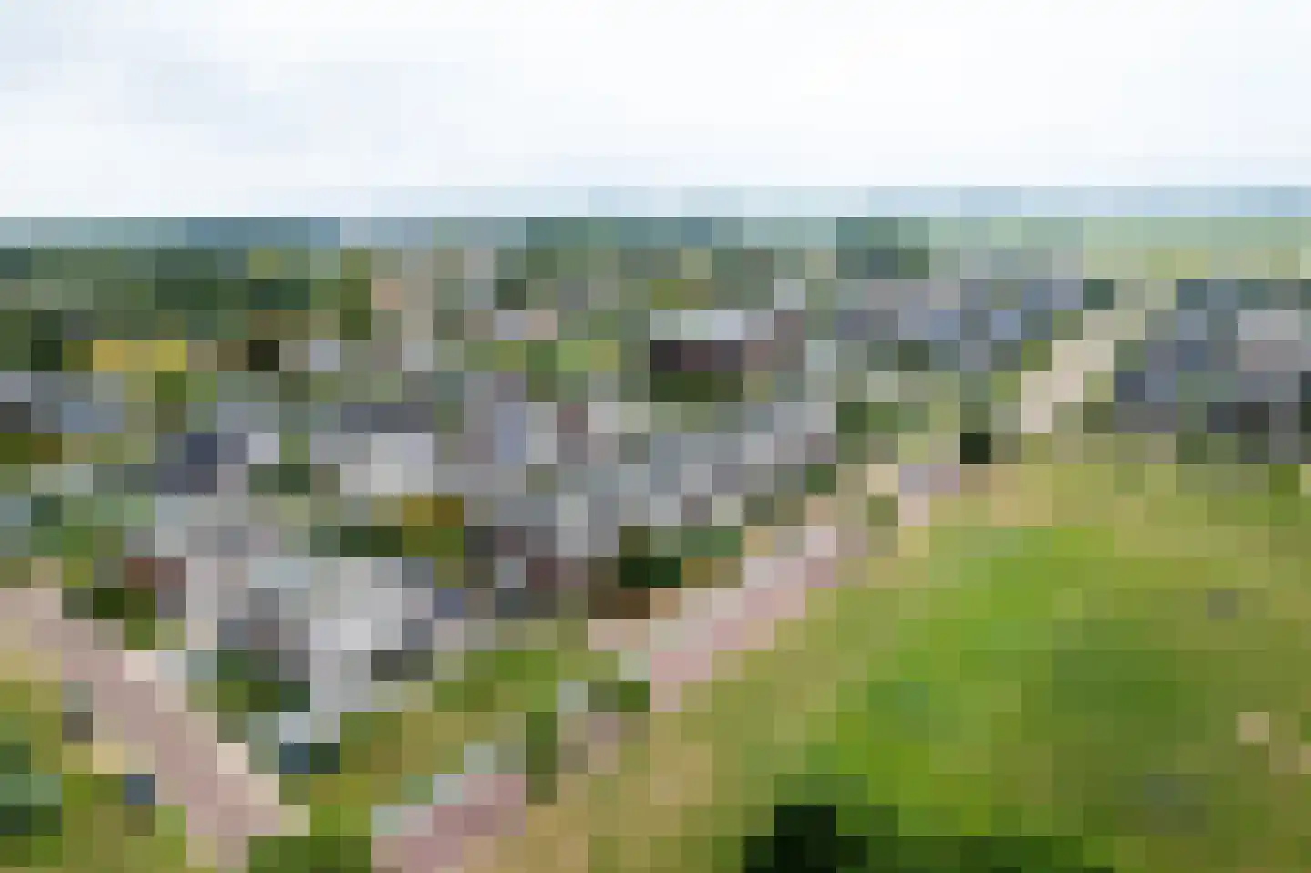 Thomashof 1 Workum thumbnail 5