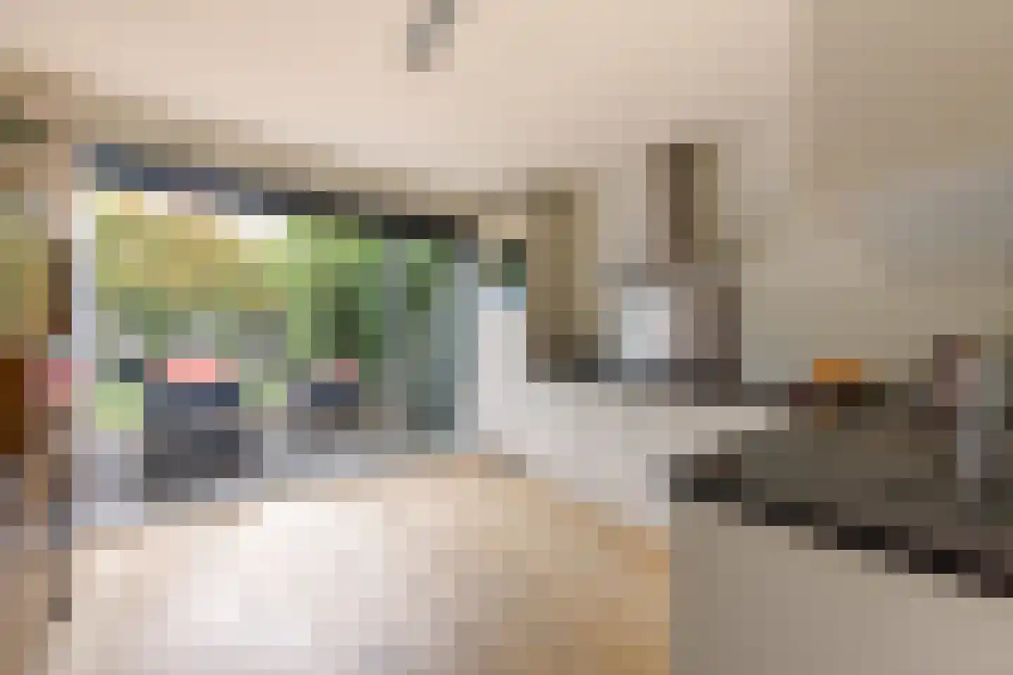 Thomashof 1 Workum thumbnail 7