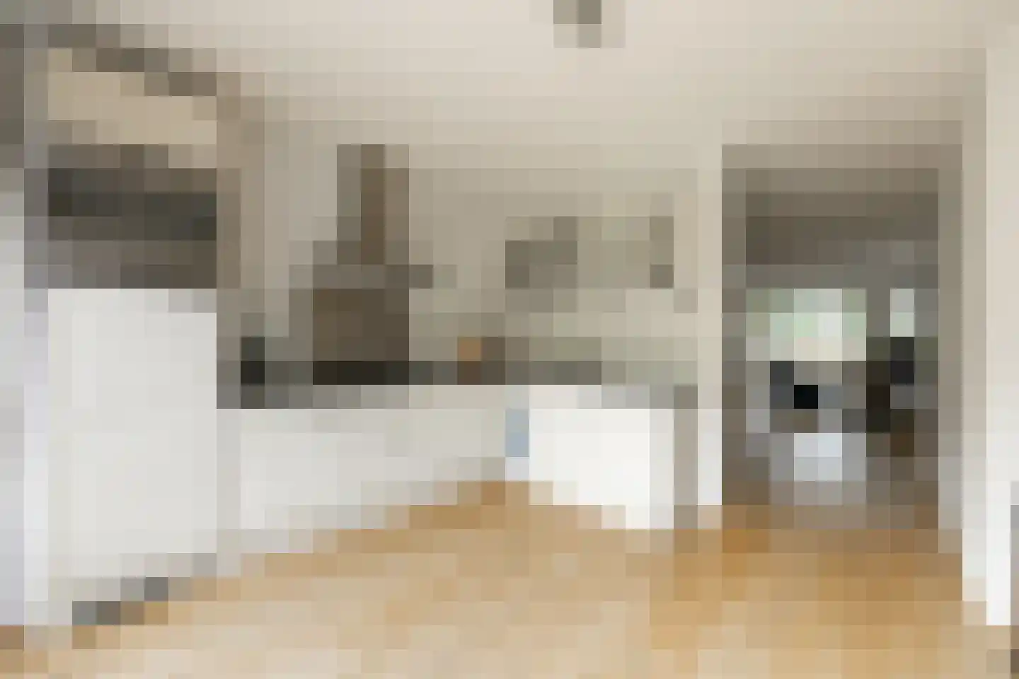 Thomashof 1 Workum thumbnail 8