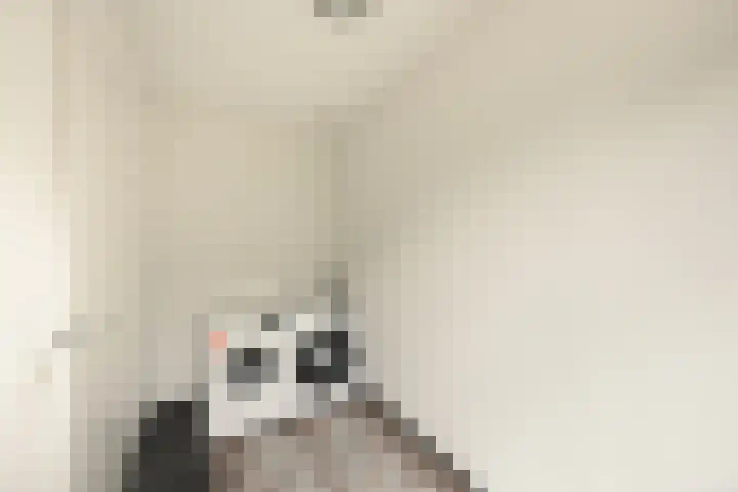 Thomashof 1 Workum thumbnail 9