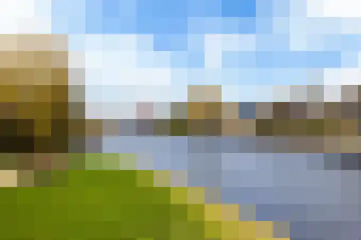 Thomashof 13 203 Workum thumbnail 11