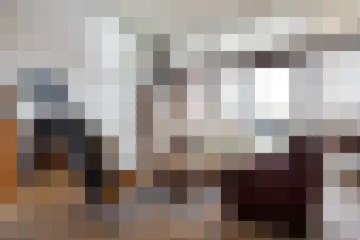 Thomashof 13 203 Workum thumbnail 27