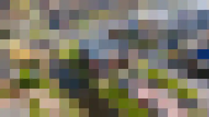 Thomashof 13 203 Workum thumbnail 41