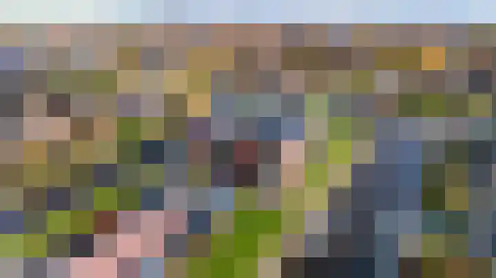 Thomashof 13 203 Workum thumbnail 42