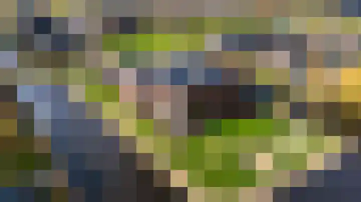 Thomashof 13 203 Workum thumbnail 43