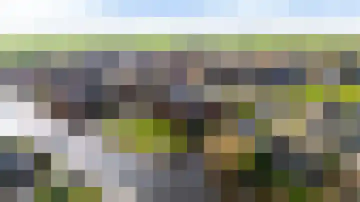 Thomashof 13 203 Workum thumbnail 45