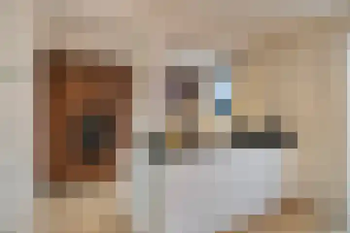 Thomaslaan 50 Eindhoven thumbnail 12
