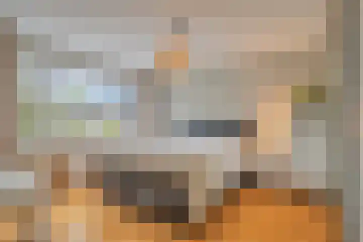 Thomaslaan 50 Eindhoven thumbnail 17