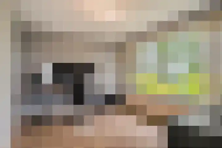 Thomaslaan 50 Eindhoven thumbnail 22