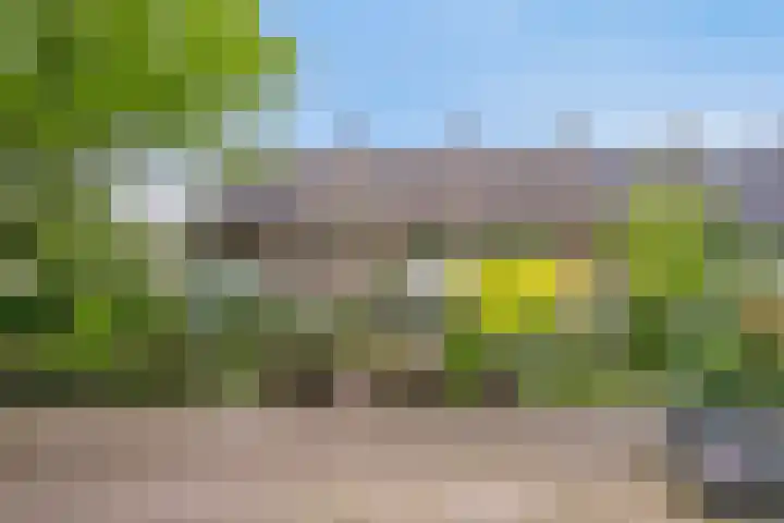 Thomaslaan 50 Eindhoven thumbnail 38