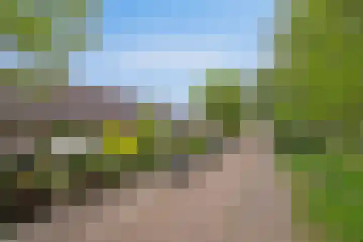 Thomaslaan 50 Eindhoven thumbnail 40