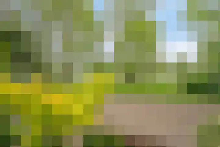 Thomaslaan 50 Eindhoven thumbnail 43