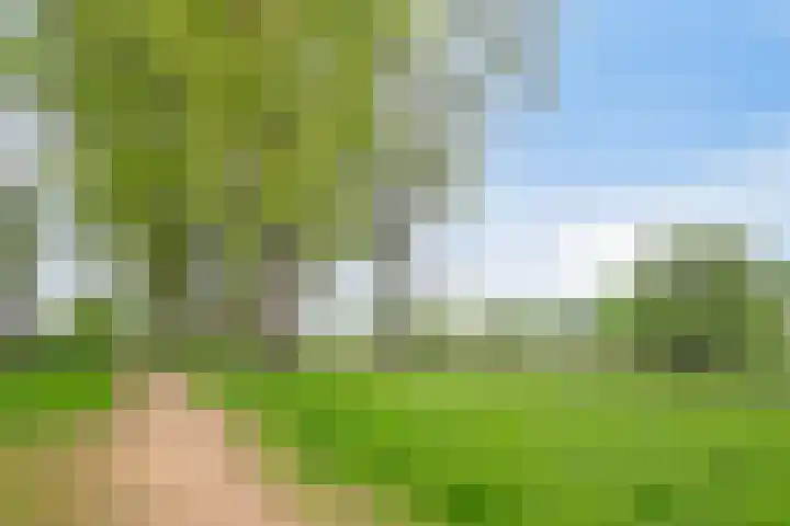 Thomaslaan 50 Eindhoven thumbnail 44