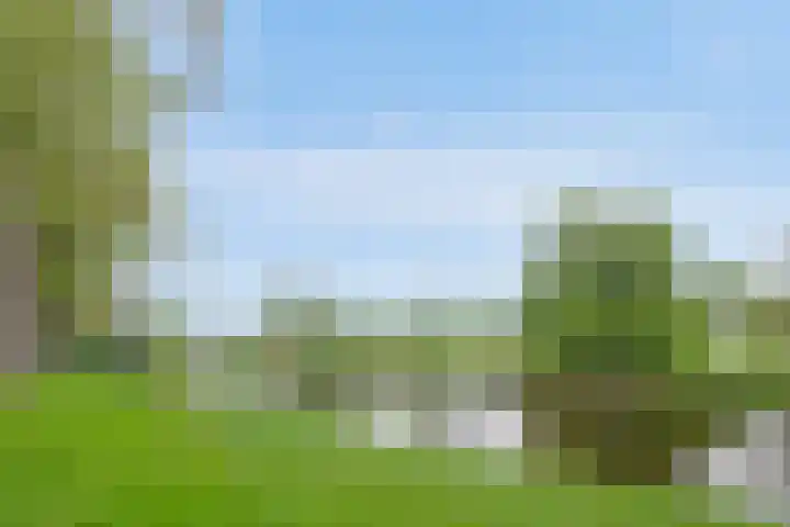Thomaslaan 50 Eindhoven thumbnail 45