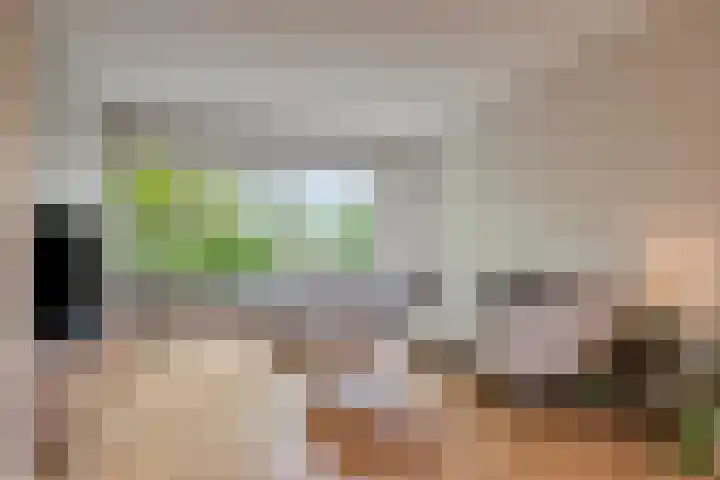 Thomaslaan 50 Eindhoven thumbnail 9