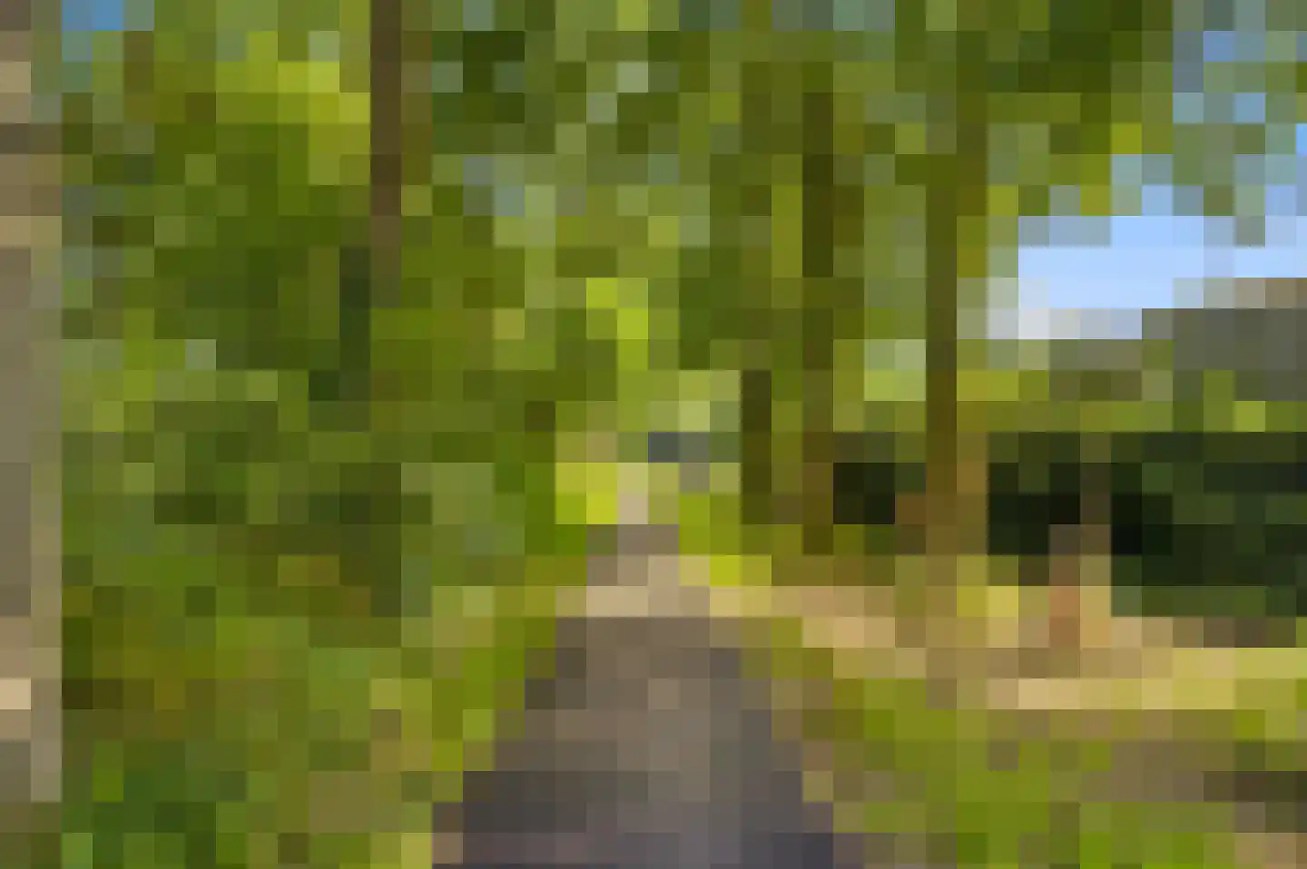 Thomasweg 13 Langenboom thumbnail 31