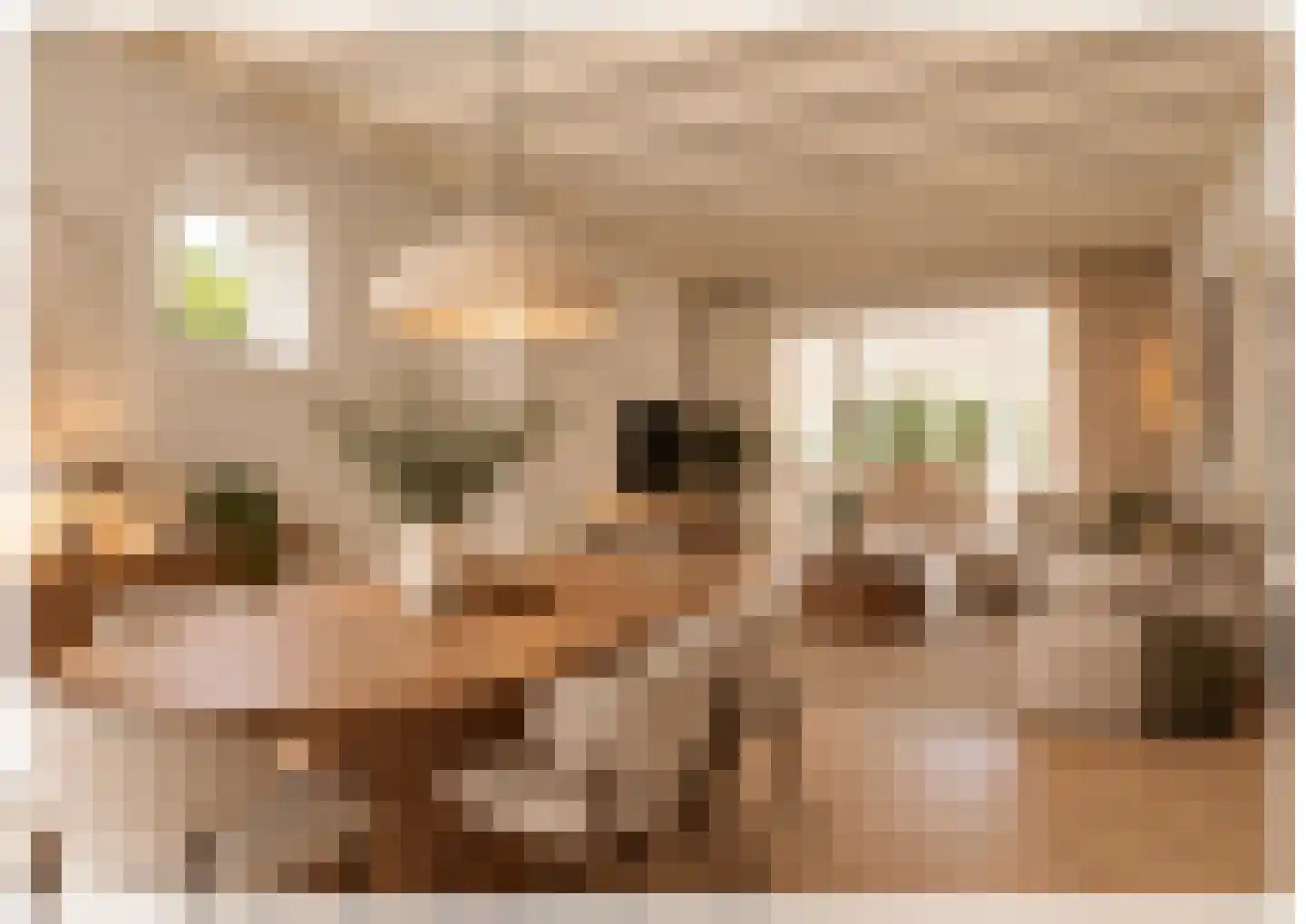 Thomasweg 13 Langenboom thumbnail 5