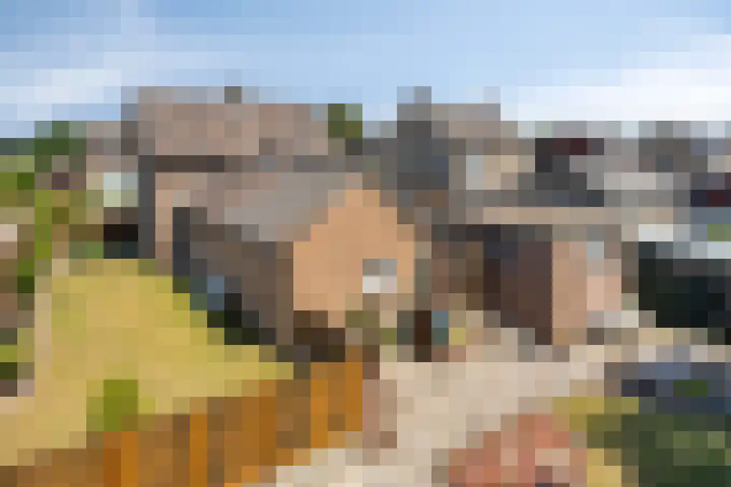 Thomasweg 35 Langenboom thumbnail 38
