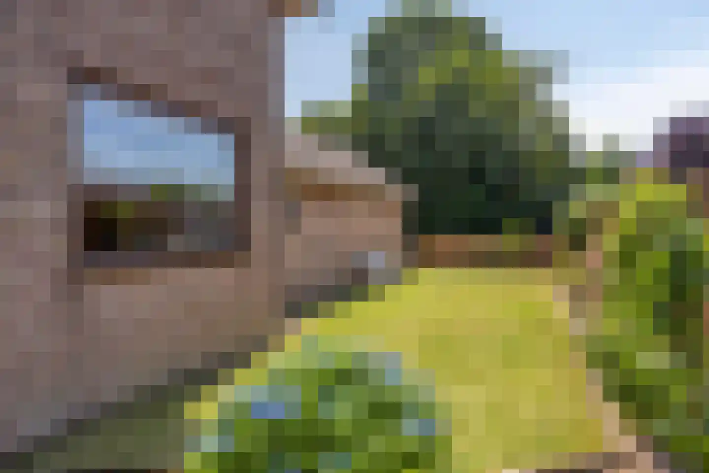 Thomasweg 35 Langenboom thumbnail 40
