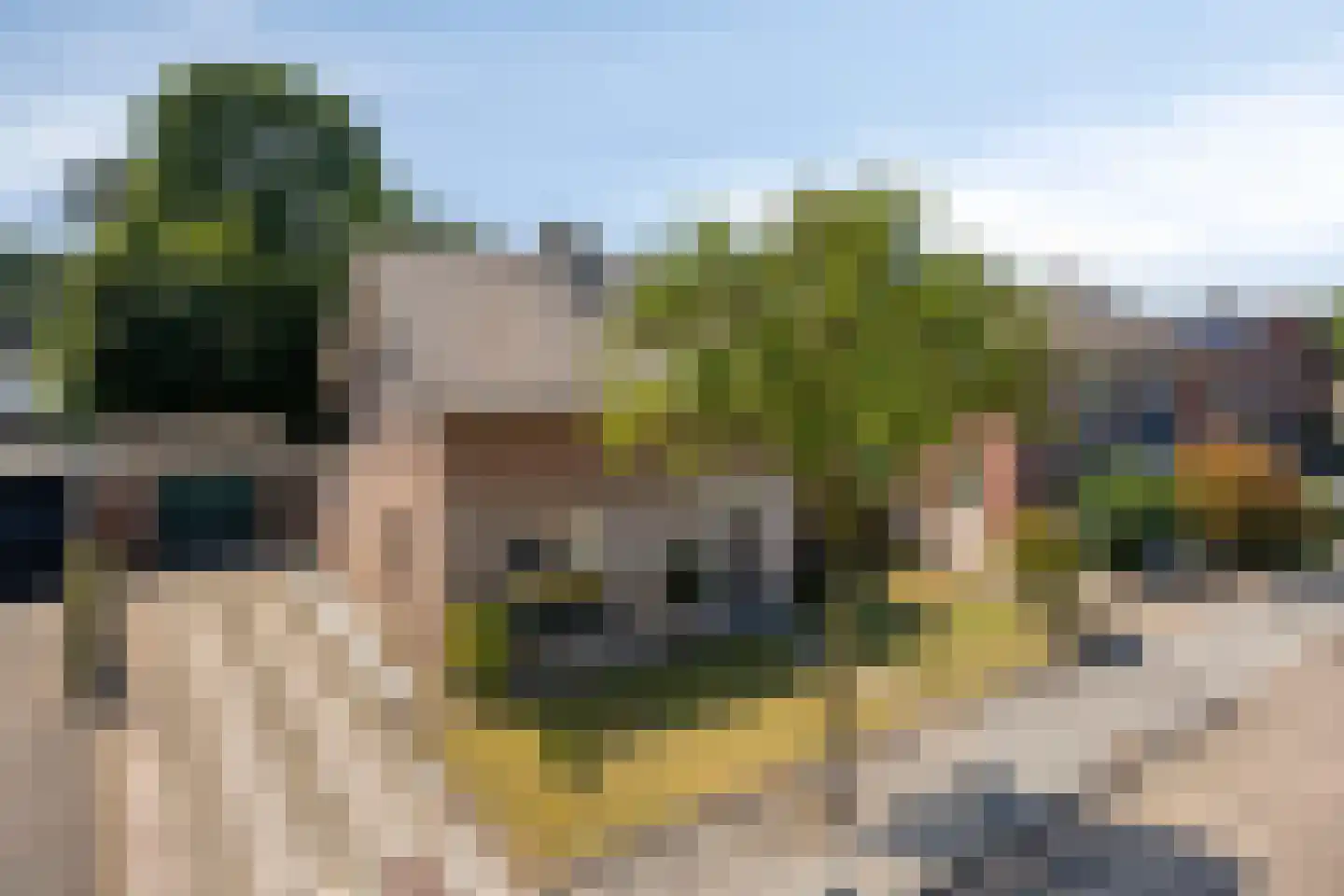 Thomasweg 35 Langenboom thumbnail 9