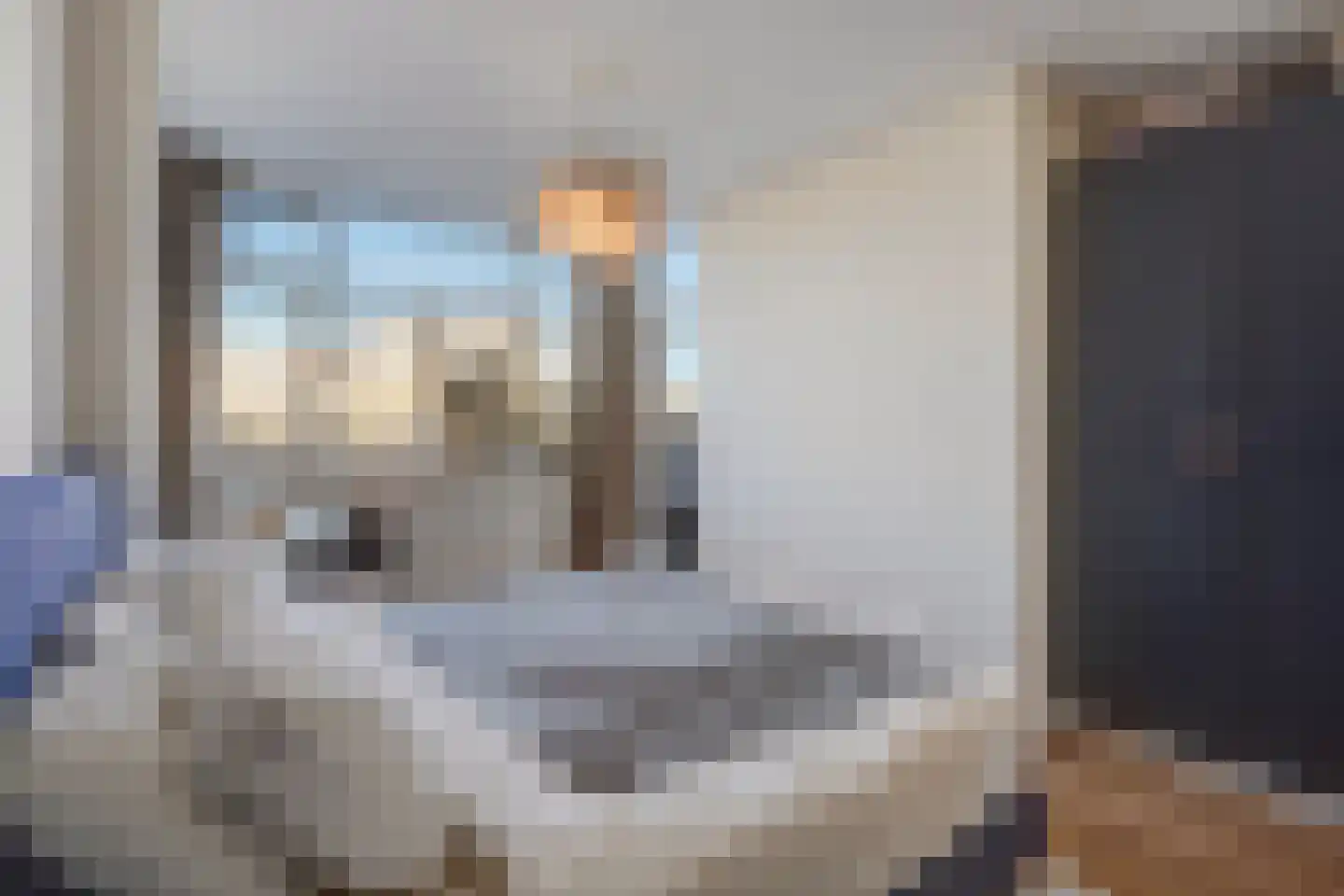 Thomsonlaan 105 B Den Haag thumbnail 17