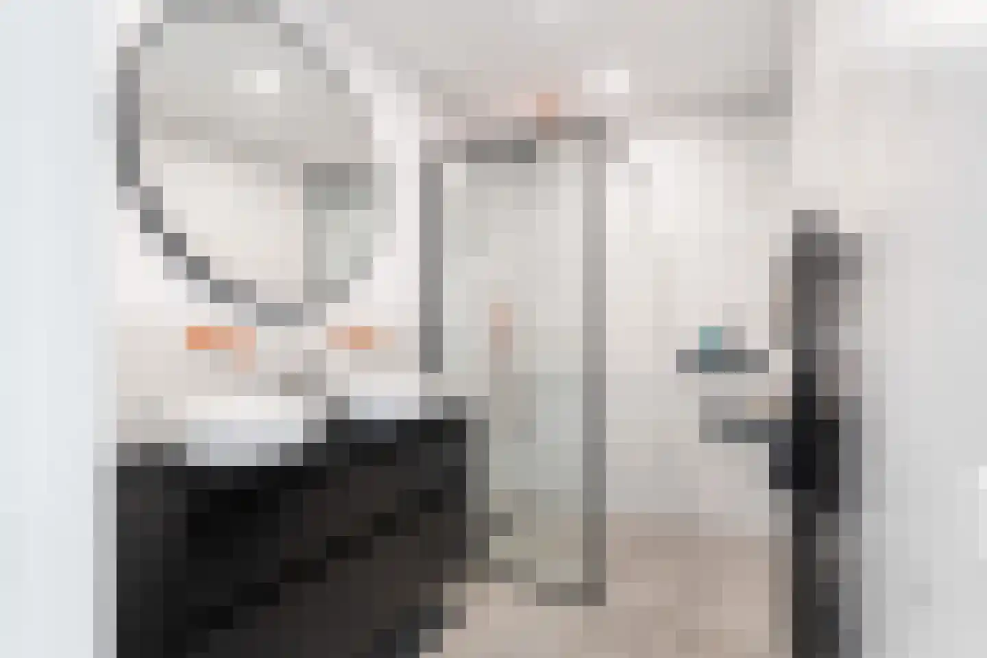 Thomsonlaan 105 B Den Haag thumbnail 19