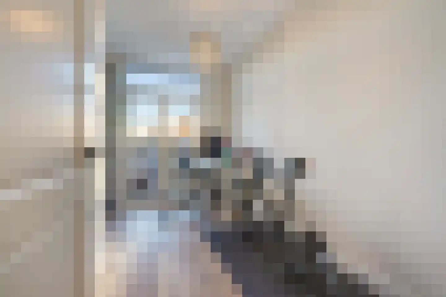 Thomsonlaan 105 B Den Haag thumbnail 22