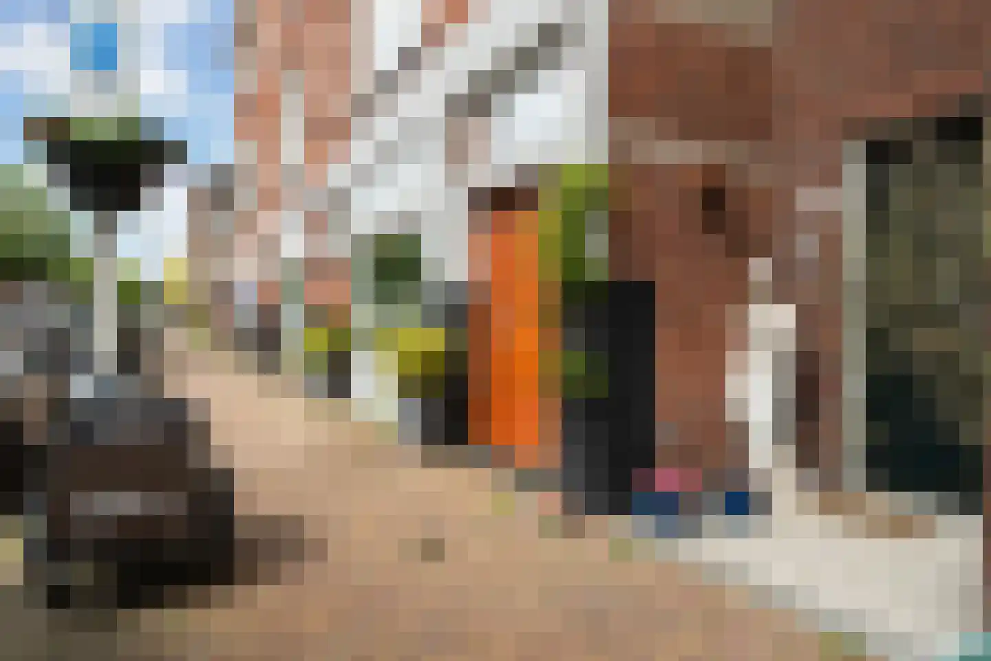 Thomsonlaan 105 B Den Haag thumbnail 27