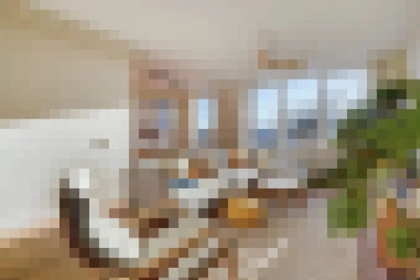 Thomsonlaan 105 B Den Haag thumbnail 5