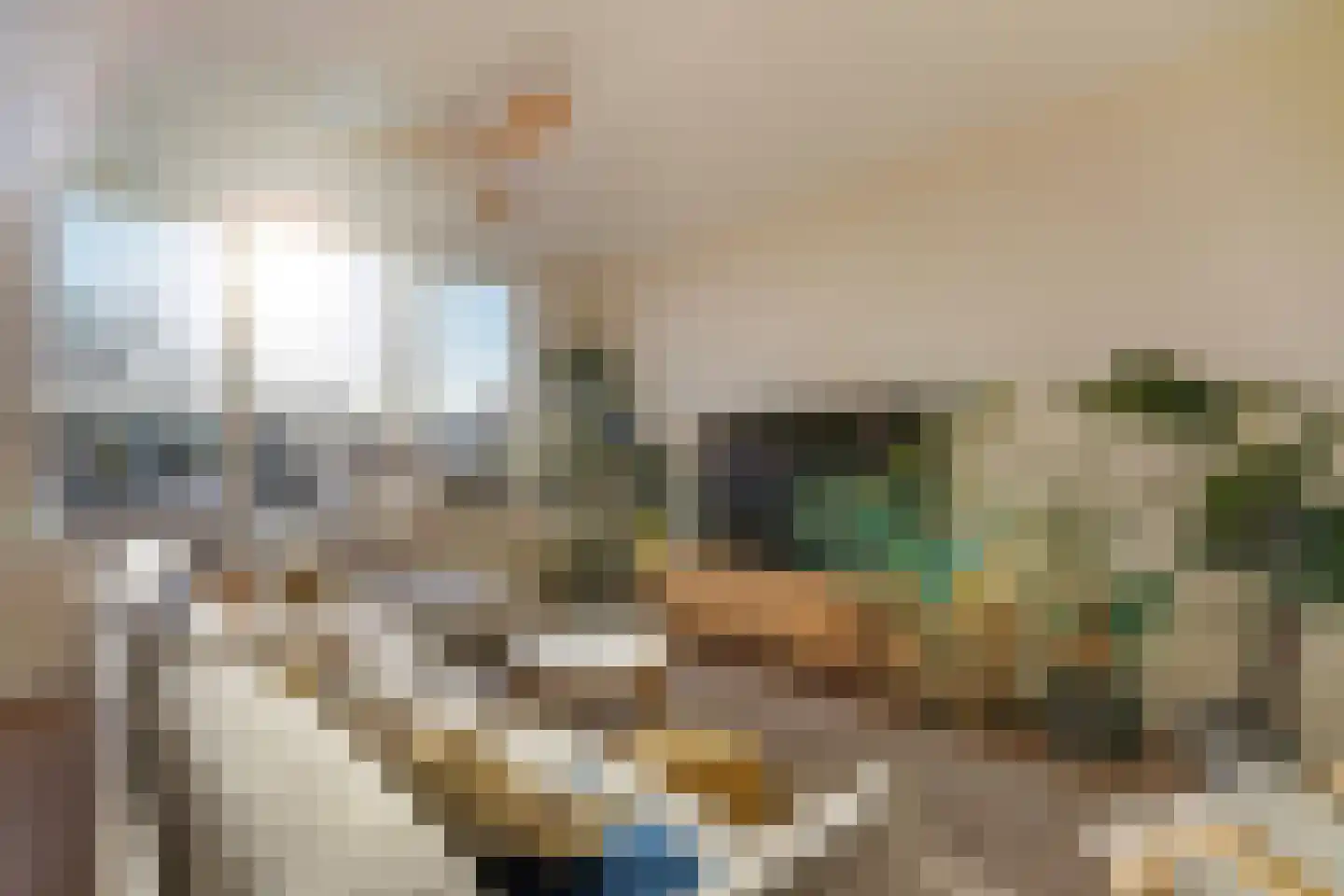 Thomsonlaan 105 B Den Haag thumbnail 6