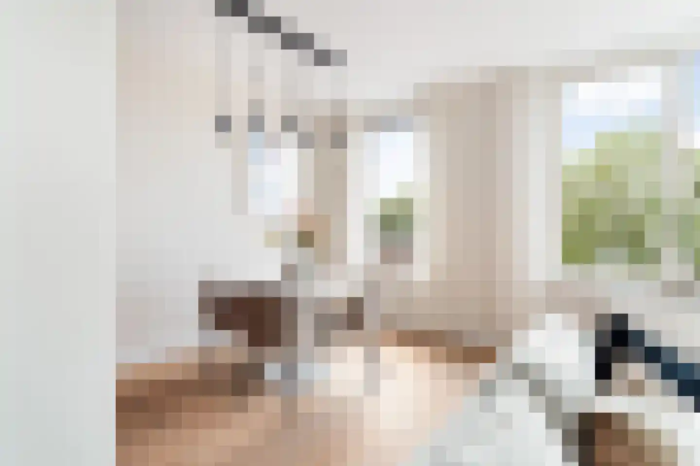 Thomsonlaan 105 B Den Haag thumbnail 6