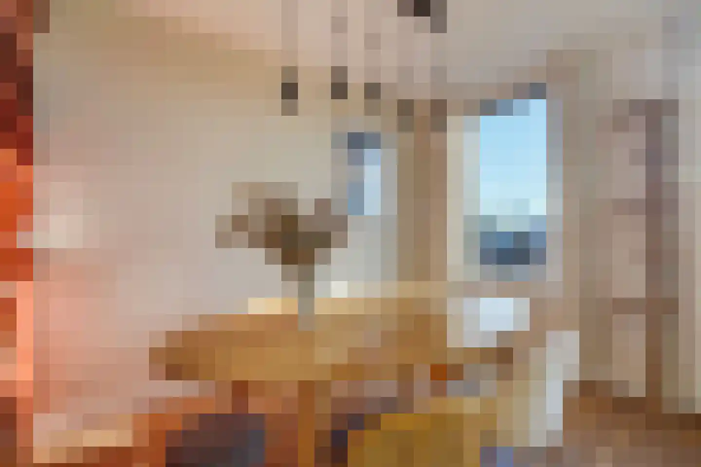 Thomsonlaan 105 B Den Haag thumbnail 9