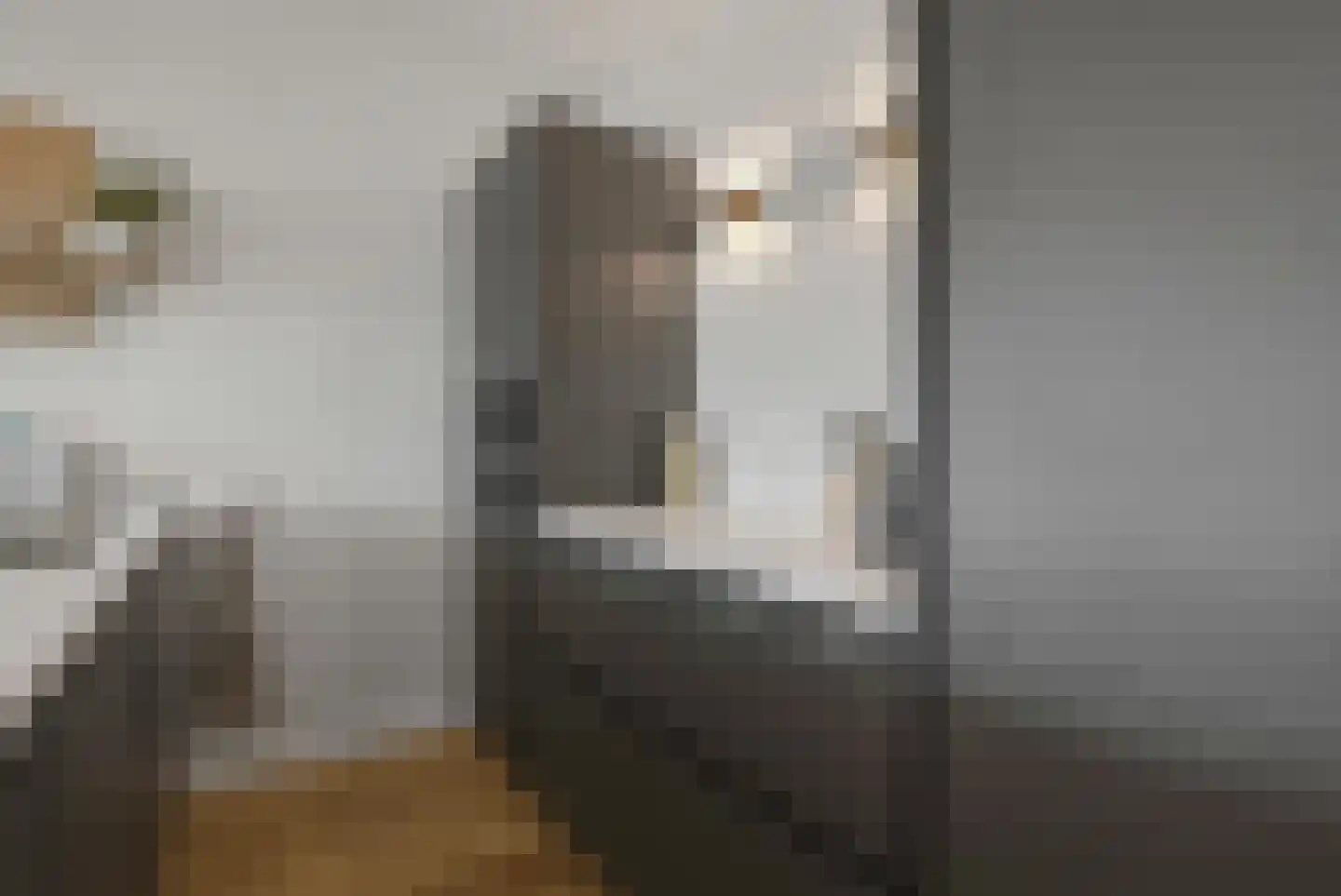 Thomsonlaan 105 F Den Haag thumbnail 16
