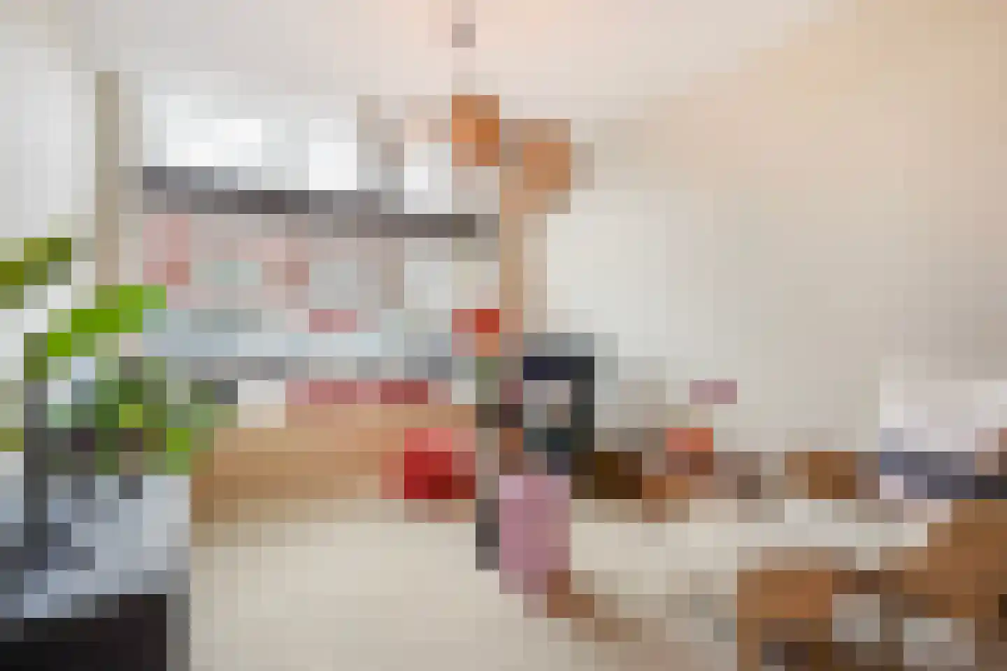 Thomsonlaan 107 Den Haag thumbnail 10