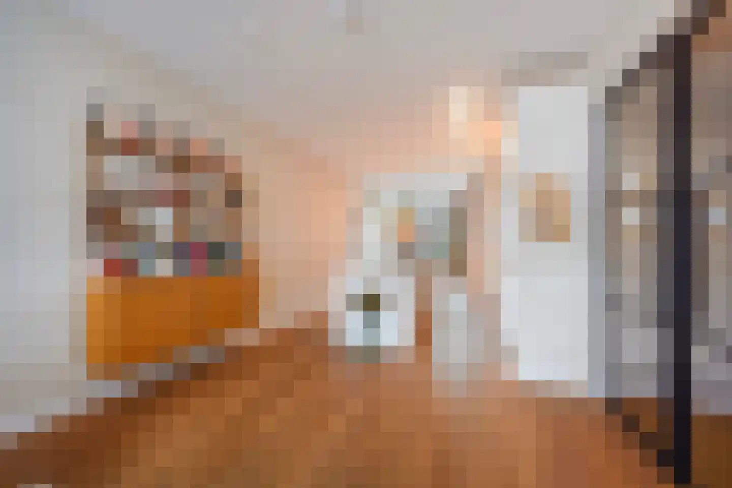 Thomsonlaan 107 Den Haag thumbnail 14