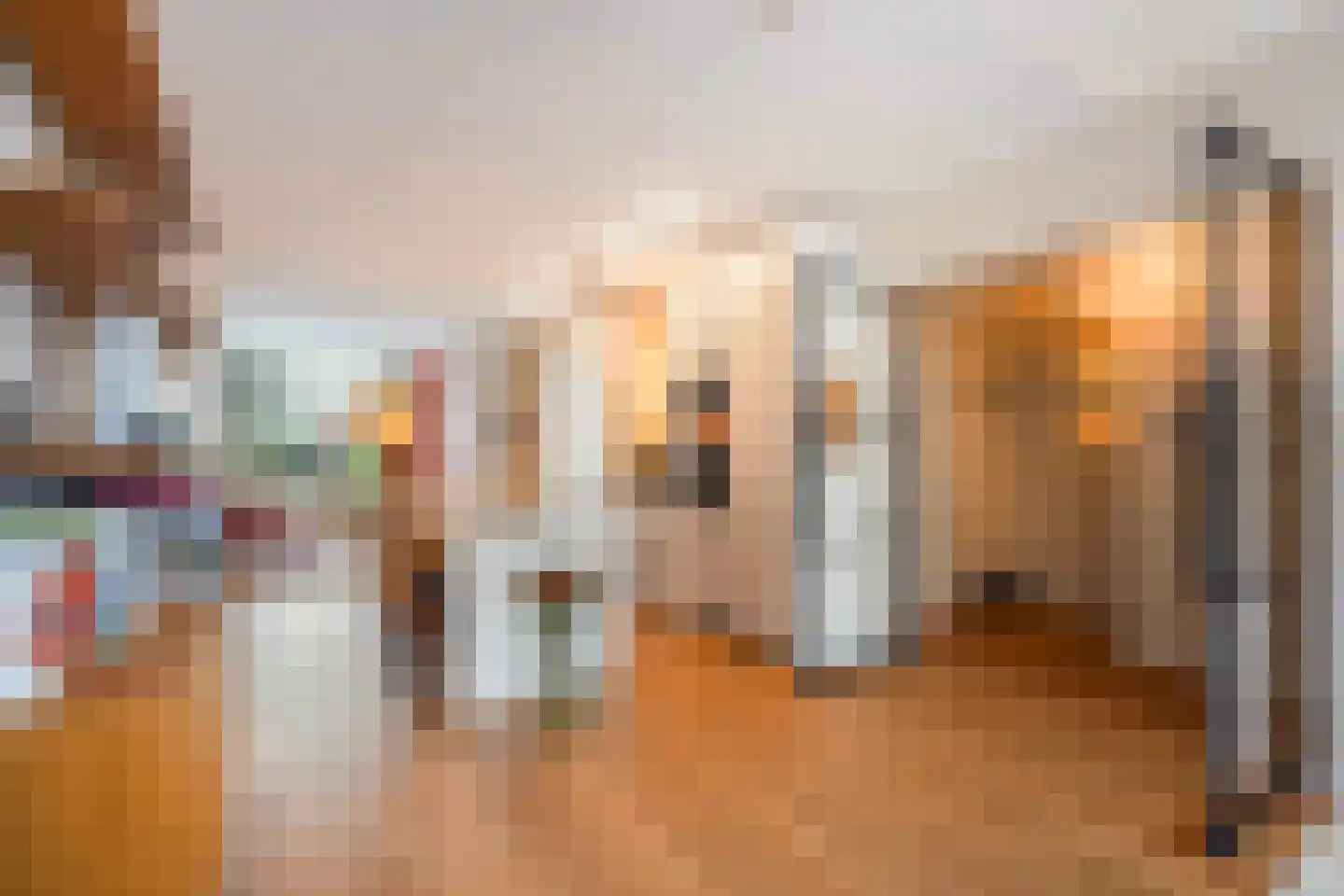 Thomsonlaan 107 Den Haag thumbnail 15