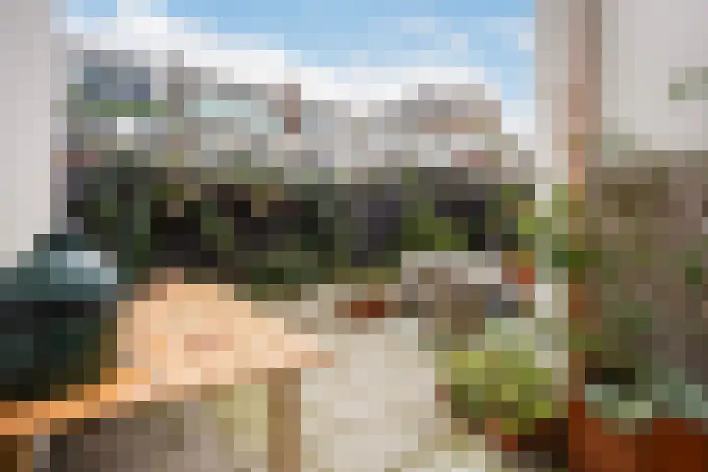 Thomsonlaan 107 Den Haag thumbnail 22