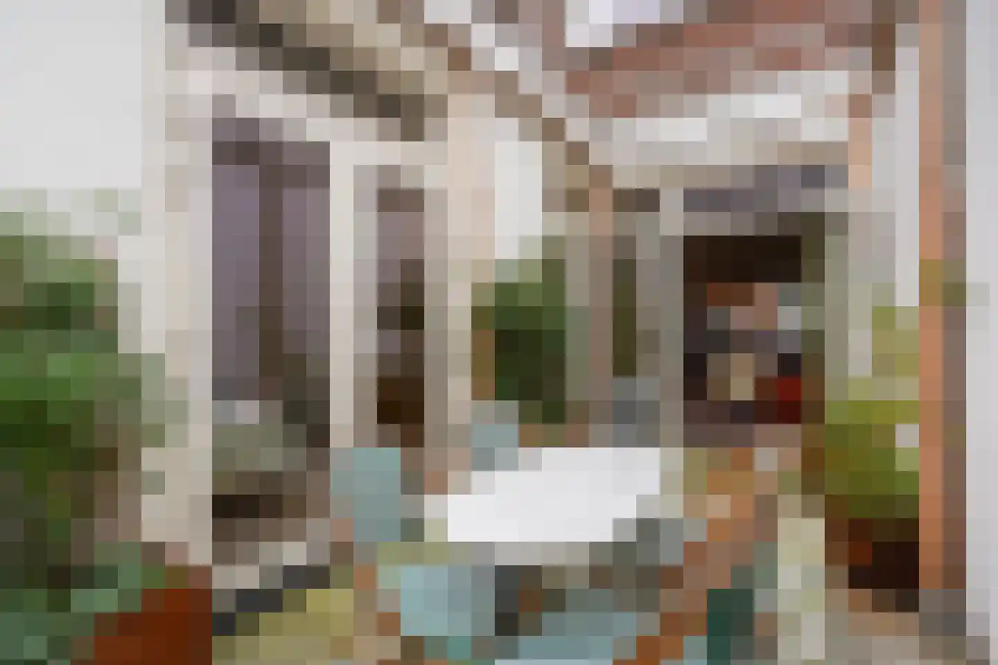 Thomsonlaan 107 Den Haag thumbnail 26