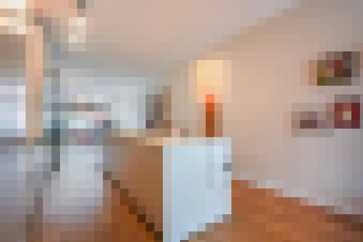 Thomsonlaan 107 Den Haag thumbnail 29