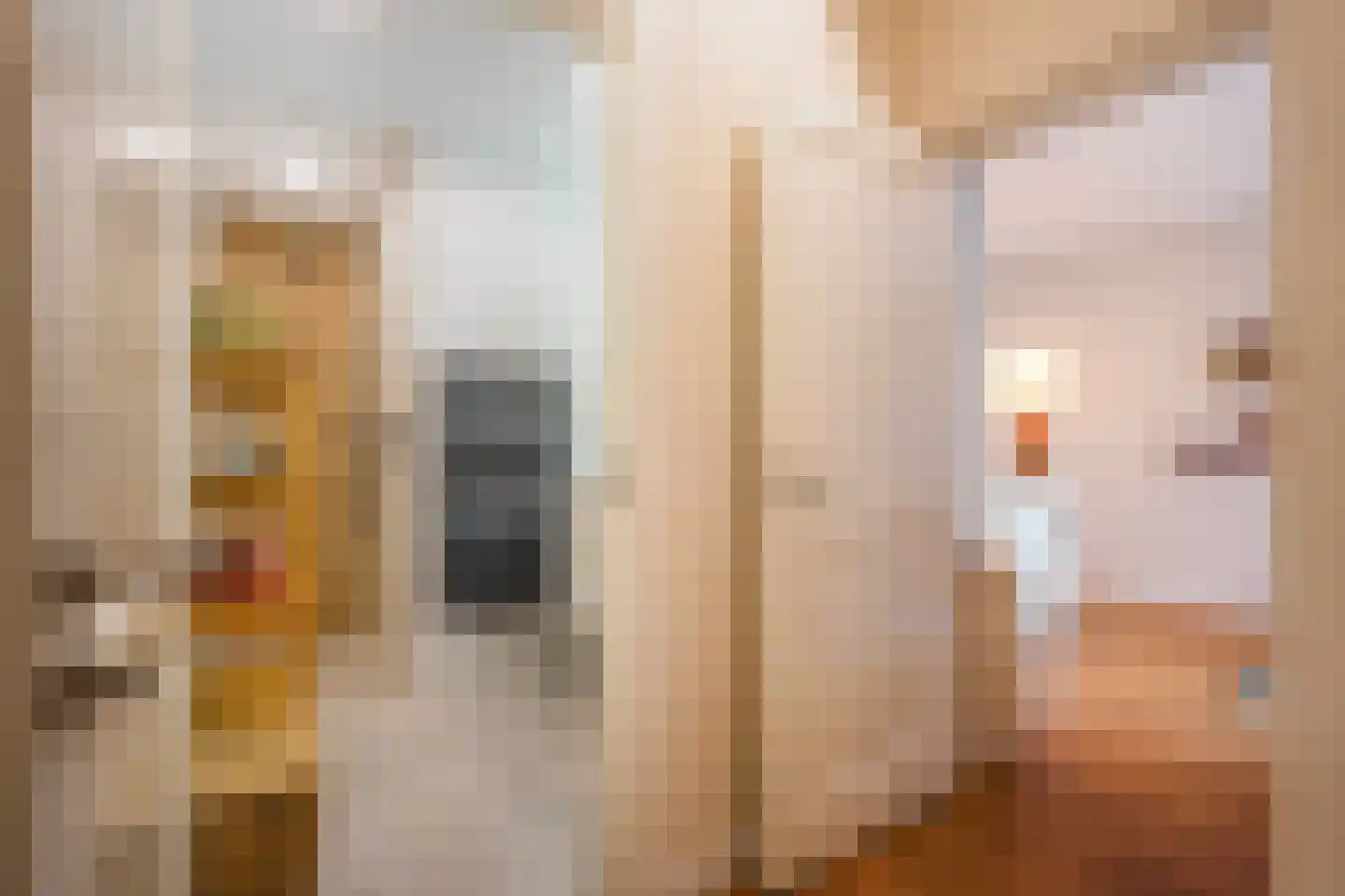 Thomsonlaan 107 Den Haag thumbnail 31